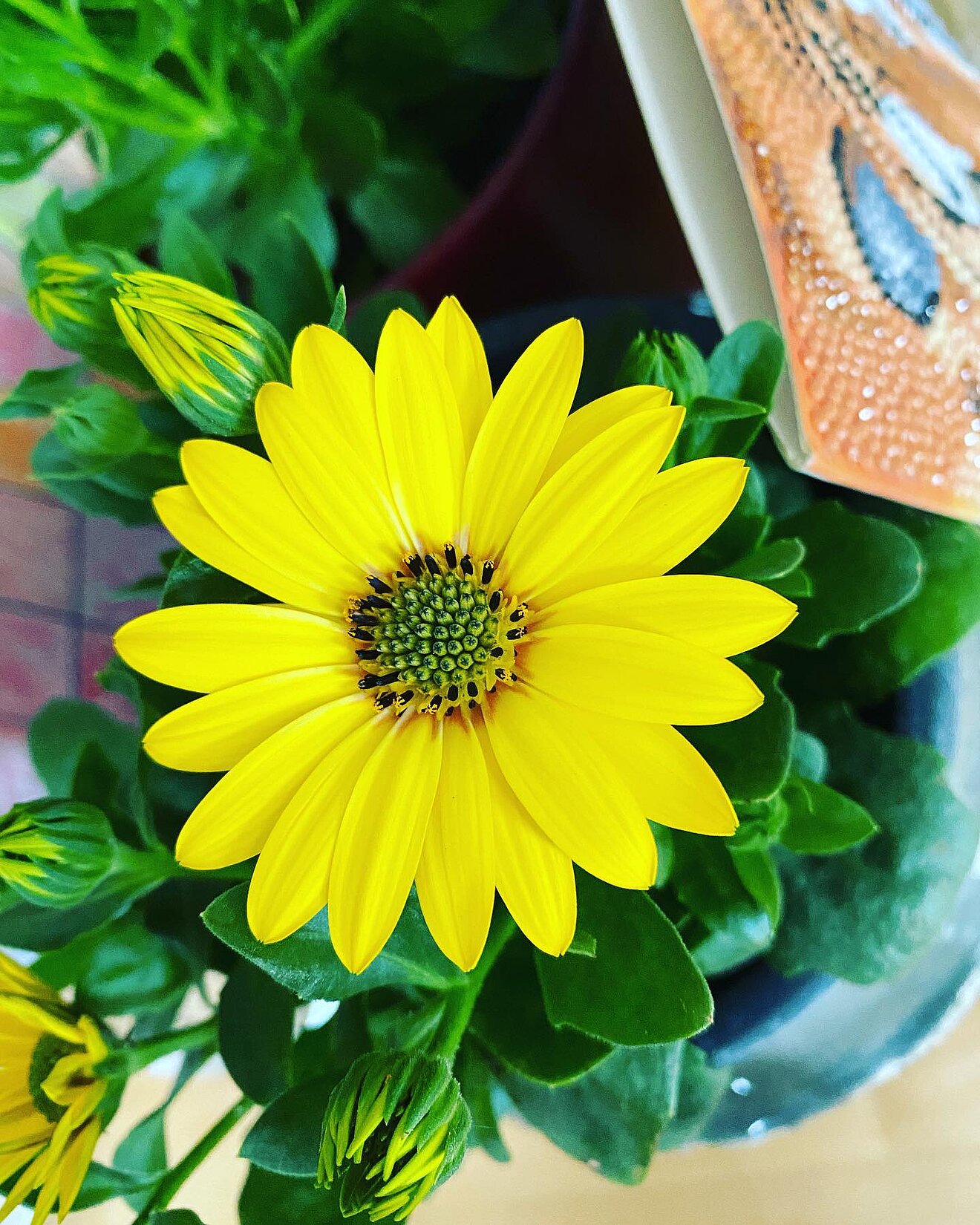 280124123_3312303532390208_5772849441420786506_n